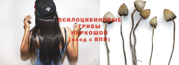 спиды Касимов