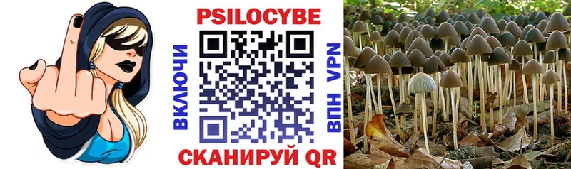 Галлюциногенные грибы MAGIC MUSHROOMS  Купить  Бирюч 